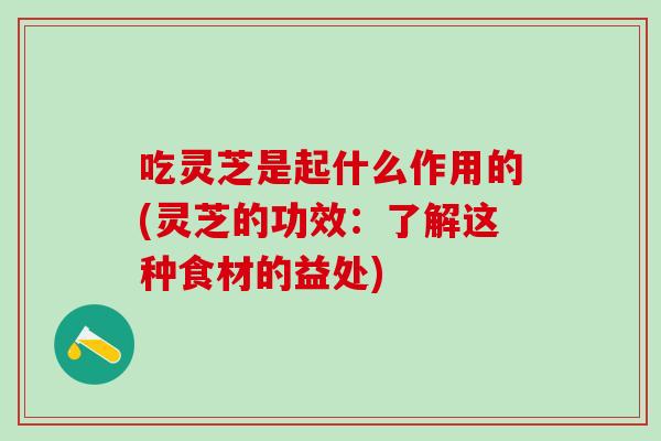 吃灵芝是起什么作用的(灵芝的功效：了解这种食材的益处)