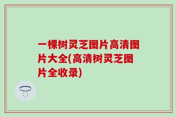 一棵树灵芝图片高清图片大全(高清树灵芝图片全收录)
