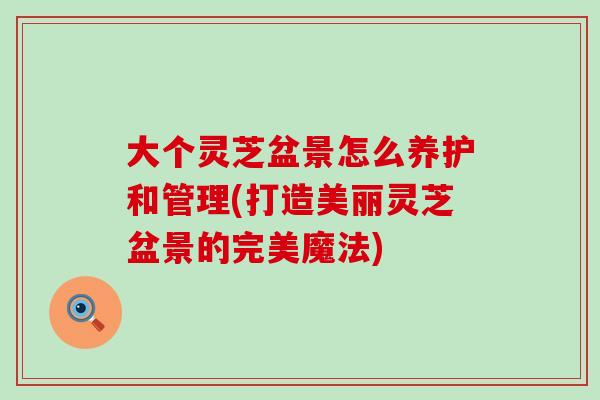 大个灵芝盆景怎么养护和管理(打造美丽灵芝盆景的完美魔法)