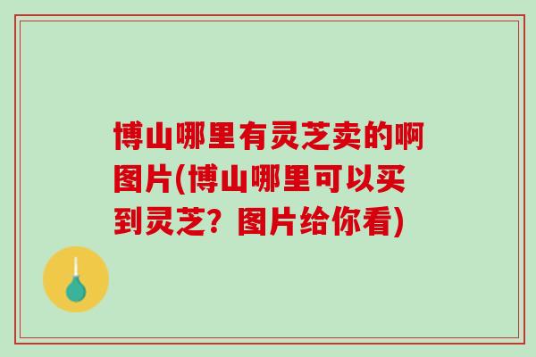 博山哪里有灵芝卖的啊图片(博山哪里可以买到灵芝？图片给你看)