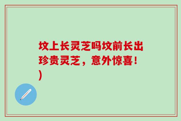 坟上长灵芝吗坟前长出珍贵灵芝，意外惊喜！)