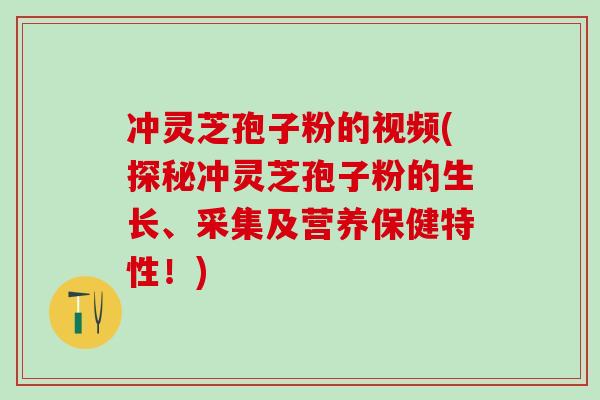 冲灵芝孢子粉的视频(探秘冲灵芝孢子粉的生长、采集及营养保健特性！)