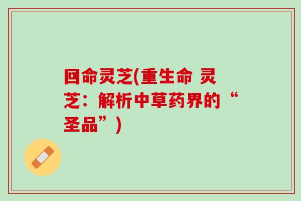回命灵芝(重生命 灵芝：解析中草药界的“圣品”)