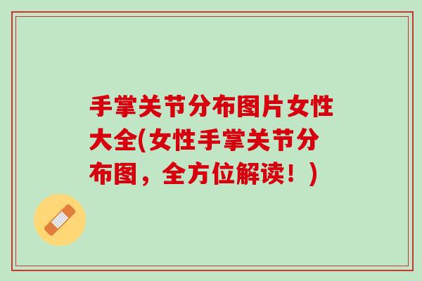 手掌关节分布图片女性大全(女性手掌关节分布图，全方位解读！)