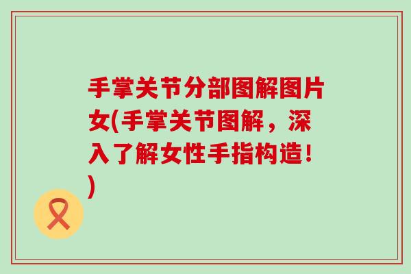 手掌关节分部图解图片女(手掌关节图解，深入了解女性手指构造！)