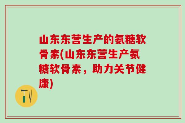山东东营生产的氨糖软骨素(山东东营生产氨糖软骨素，助力关节健康)