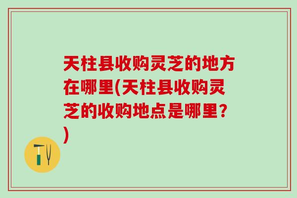 天柱县收购灵芝的地方在哪里(天柱县收购灵芝的收购地点是哪里？)