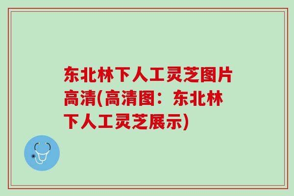 东北林下人工灵芝图片高清(高清图：东北林下人工灵芝展示)