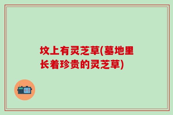 坟上有灵芝草(墓地里长着珍贵的灵芝草)