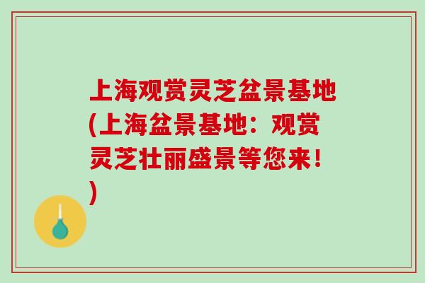 上海观赏灵芝盆景基地(上海盆景基地：观赏灵芝壮丽盛景等您来！)