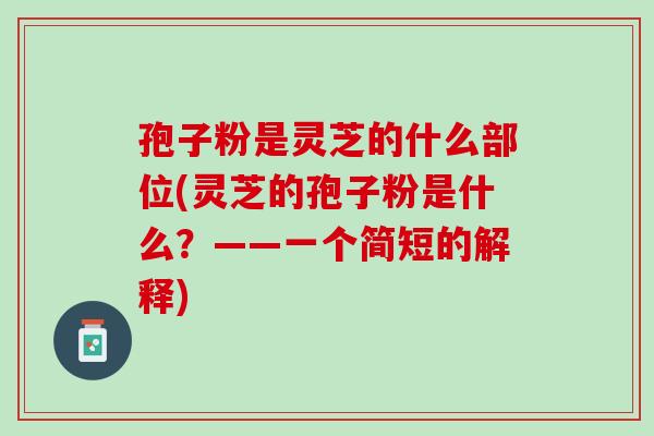 孢子粉是灵芝的什么部位(灵芝的孢子粉是什么？——一个简短的解释)