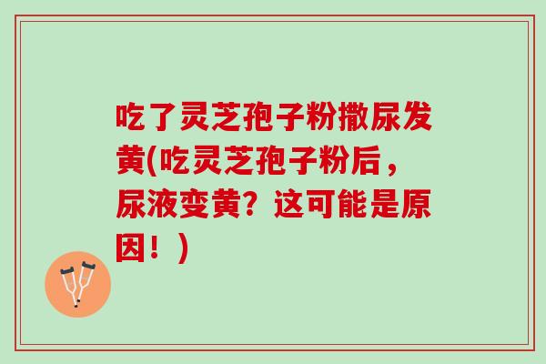 吃了灵芝孢子粉撒尿发黄(吃灵芝孢子粉后,尿液变黄?这可能是原因!) 吃了灵芝孢子粉撒尿发黄(吃灵芝孢子粉后,尿液变黄?这可能是原因!)