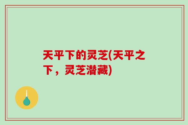 天平下的灵芝(天平之下，灵芝潜藏)
