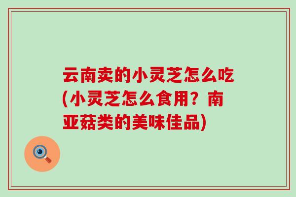 云南卖的小灵芝怎么吃(小灵芝怎么食用？南亚菇类的美味佳品)