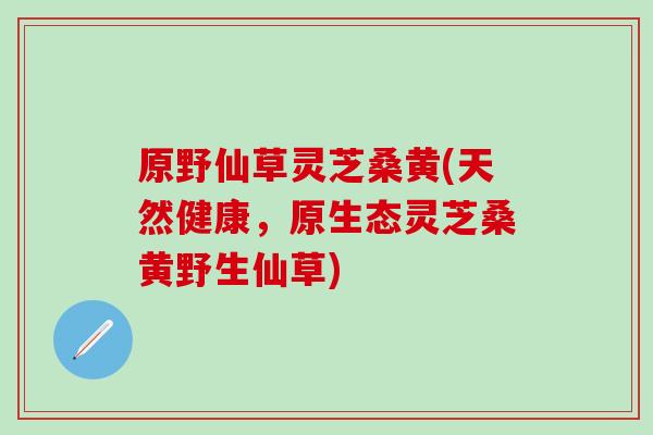 原野仙草灵芝桑黄(天然健康，原生态灵芝桑黄野生仙草)