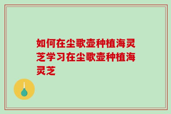 如何在尘歌壶种植海灵芝学习在尘歌壶种植海灵芝 如何在尘歌壶种植海灵芝学习在尘歌壶种植海灵芝
