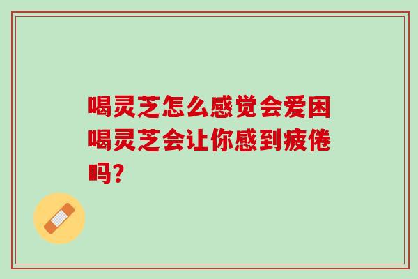 喝灵芝怎么感觉会爱困喝灵芝会让你感到疲倦吗？