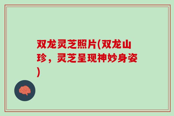 双龙灵芝照片(双龙山珍，灵芝呈现神妙身姿)