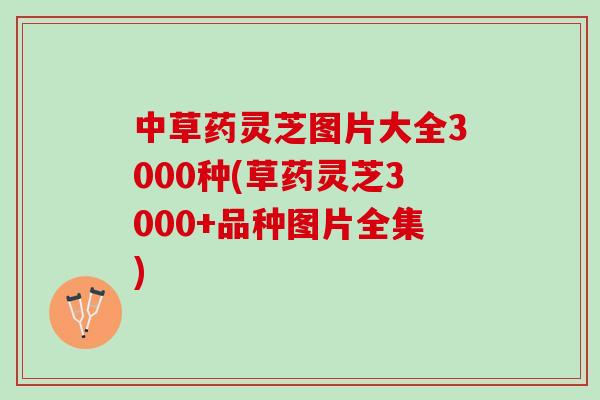 中草药灵芝图片大全3000种(草药灵芝3000+品种图片全集)