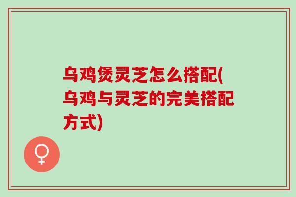 乌鸡煲灵芝怎么搭配(乌鸡与灵芝的完美搭配方式)
