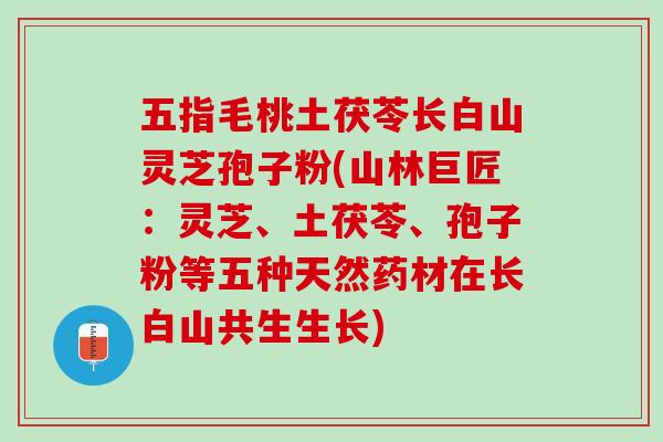 五指毛桃土茯苓长白山灵芝孢子粉(山林巨匠：灵芝、土茯苓、孢子粉等五种天然药材在长白山共生生长)