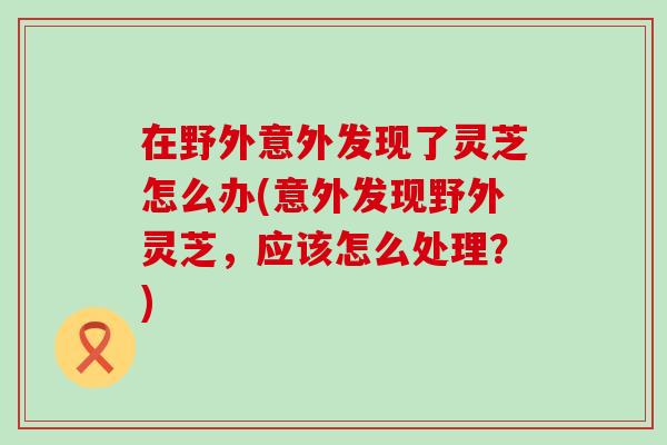 在野外意外发现了灵芝怎么办(意外发现野外灵芝，应该怎么处理？)