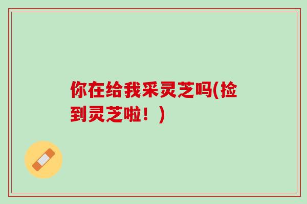 你在给我采灵芝吗(捡到灵芝啦！)