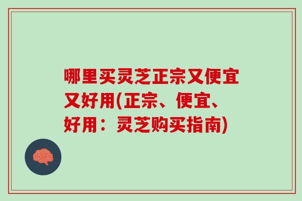 哪里买灵芝正宗又便宜又好用(正宗、便宜、好用：灵芝购买指南)