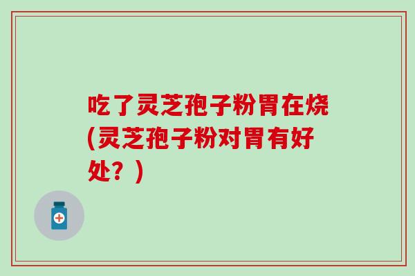 吃了灵芝孢子粉胃在烧(灵芝孢子粉对胃有好处？)