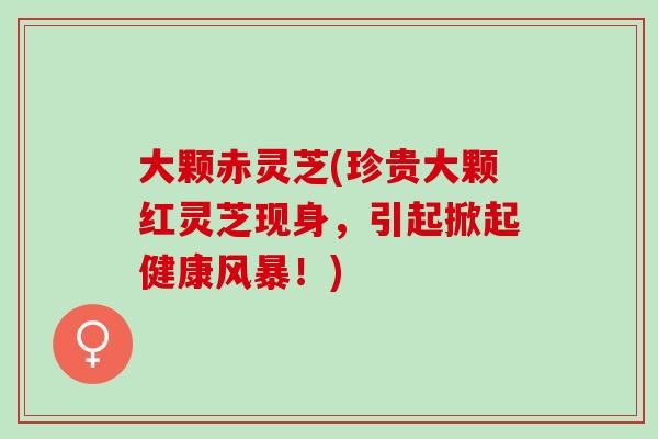 大颗赤灵芝(珍贵大颗红灵芝现身，引起掀起健康风暴！)