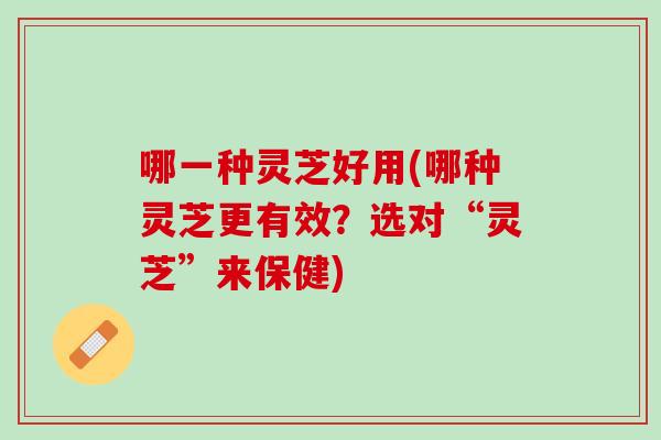 哪一种灵芝好用(哪种灵芝更有效？选对“灵芝”来保健)