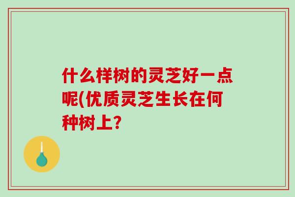 什么样树的灵芝好一点呢(优质灵芝生长在何种树上？