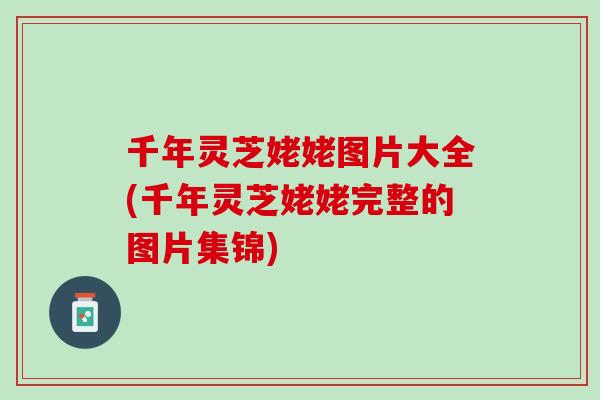 千年灵芝姥姥图片大全(千年灵芝姥姥完整的图片集锦)