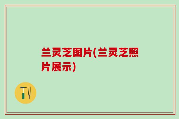 兰灵芝图片(兰灵芝照片展示)