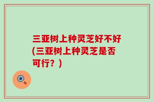 三亚树上种灵芝好不好(三亚树上种灵芝是否可行？)
