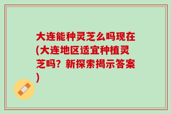 大连能种灵芝么吗现在(大连地区适宜种植灵芝吗？新探索揭示答案)