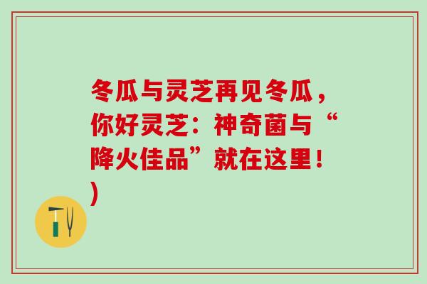 冬瓜与灵芝再见冬瓜,你好灵芝:神奇菌与“降火佳品”就在这里!) 冬瓜与灵芝再见冬瓜,你好灵芝:神奇菌与“降火佳品”就在这里!)