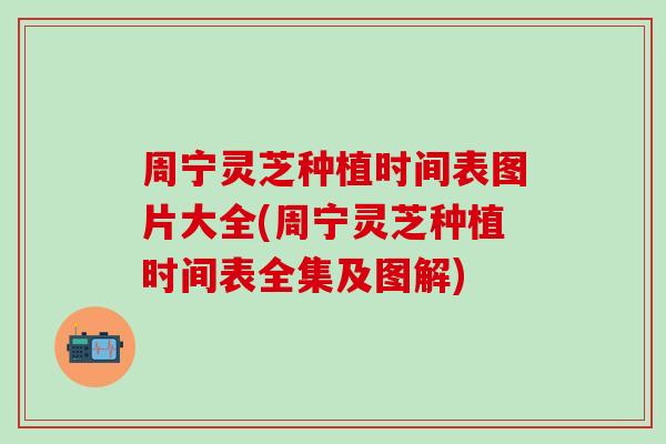 周宁灵芝种植时间表图片大全(周宁灵芝种植时间表全集及图解)