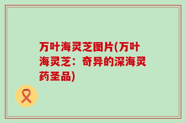 万叶海灵芝图片(万叶海灵芝：奇异的深海灵药圣品)