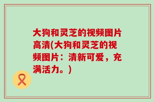 大狗和灵芝的视频图片高清(大狗和灵芝的视频图片：清新可爱，充满活力。)