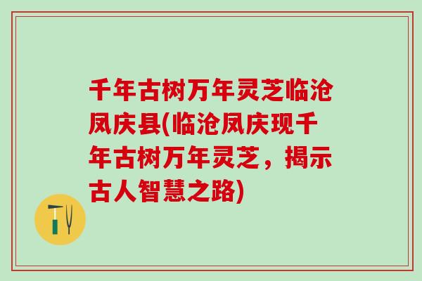 千年古树万年灵芝临沧凤庆县(临沧凤庆现千年古树万年灵芝，揭示古人智慧之路)
