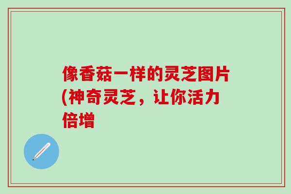 像香菇一样的灵芝图片(神奇灵芝，让你活力倍增