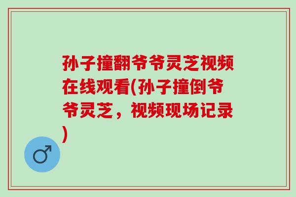 孙子撞翻爷爷灵芝视频在线观看(孙子撞倒爷爷灵芝，视频现场记录)