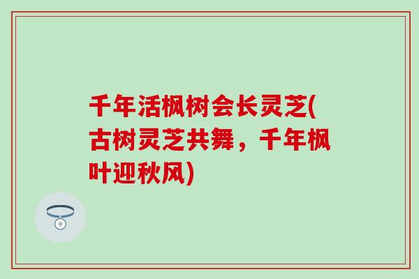 千年活枫树会长灵芝(古树灵芝共舞,千年枫叶迎秋风) 千年活枫树会长灵芝(古树灵芝共舞,千年枫叶迎秋风)