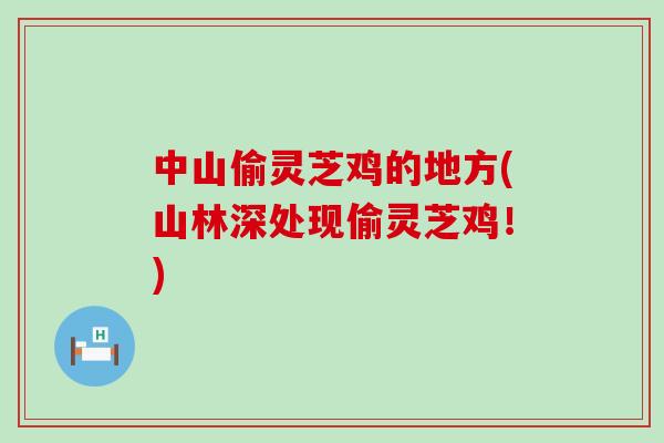 中山偷灵芝鸡的地方(山林深处现偷灵芝鸡！)