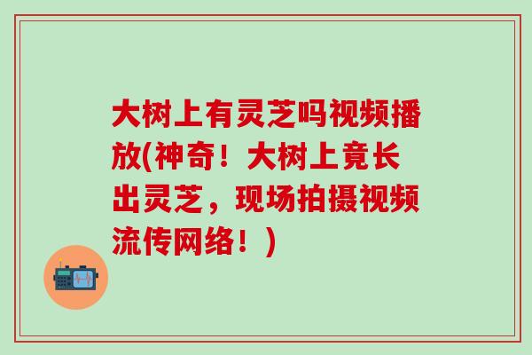 大树上有灵芝吗视频播放(神奇！大树上竟长出灵芝，现场拍摄视频流传网络！)