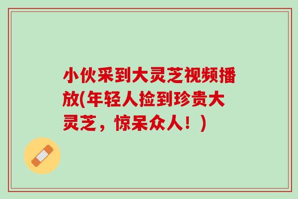 小伙采到大灵芝视频播放(年轻人捡到珍贵大灵芝，惊呆众人！)