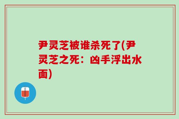 尹灵芝被谁杀死了(尹灵芝之死：凶手浮出水面)