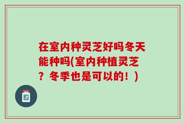 在室内种灵芝好吗冬天能种吗(室内种植灵芝？冬季也是可以的！)