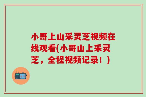 小哥上山采灵芝视频在线观看(小哥山上采灵芝，全程视频记录！)